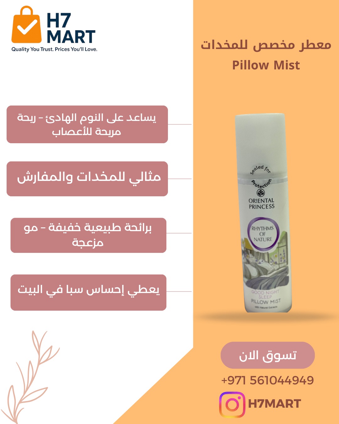 WhatsApp Image 2026-03-26 at 11.46.11 PM