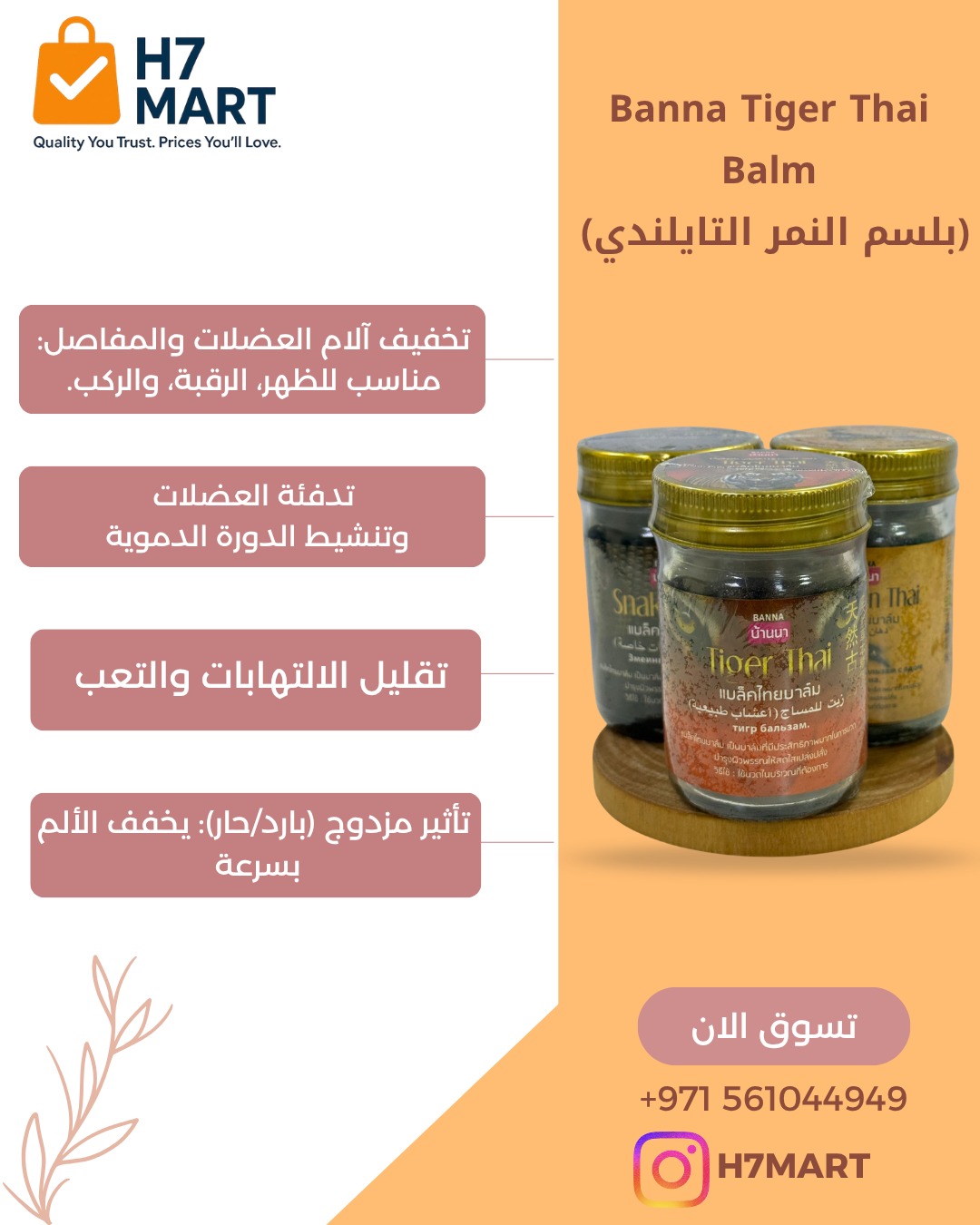 WhatsApp Image 2026-03-26 at 4.30.17 PM